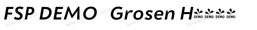 FSP DEMO   Grosen H字体转换